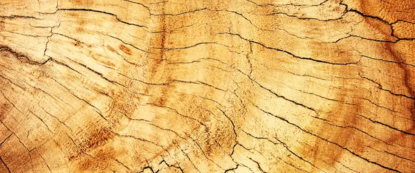/assets/woodtexture3-ZG7LQu7b.webp